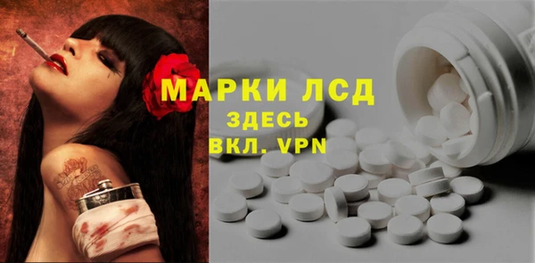 apvp Аша
