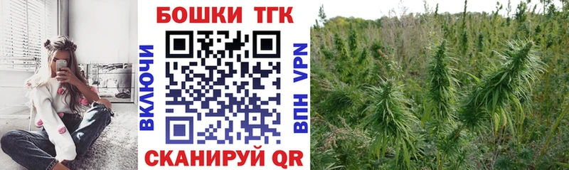 закладки Никольск Канабис план